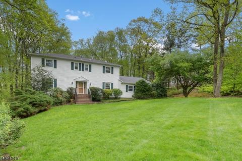 29 Springhill Rd, Randolph, NJ 07869 photo 1