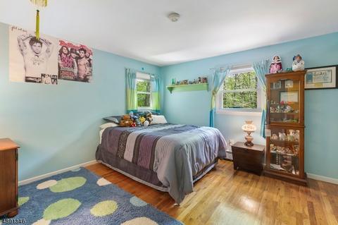 29 Springhill Rd, Randolph, NJ 07869 photo 15