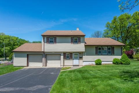 9 Larkspur Rd, Wayne, NJ 07470 photo 1