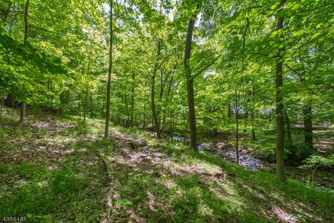 125 Hampton Dr, Berkeley Heights, NJ 07922 photo 21