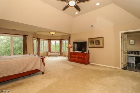 6 Shadowbrook Ln, Basking Ridge, NJ 07920 photo 12