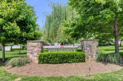 75 Ashley Ct, Bedminster, NJ 07921 photo 18