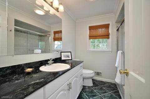 8 Carleen Ct, Summit, NJ 07901 photo 18