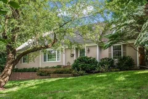 8 Carleen Ct, Summit, NJ 07901 photo 1