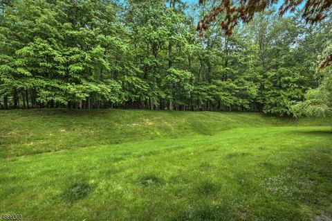 64 N Aberdeen Dr, Mendham, NJ 07945 photo 19