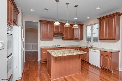 17 Crestview Dr, Clinton, NJ 08809 photo 4