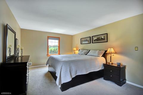 269 Bald Eagle Dr, Somerville, NJ 08876 photo 12
