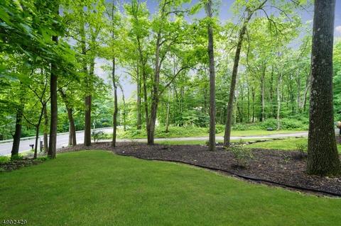 933 Route 517, Hackettstown, NJ 07840 photo 25