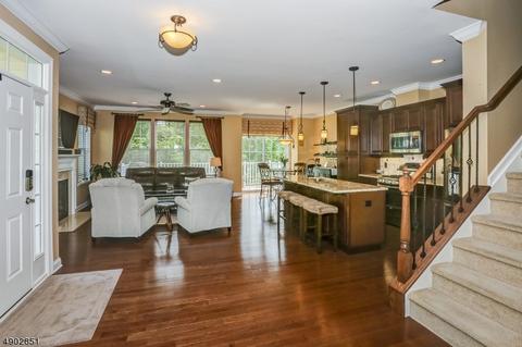 29 Wild Iris Way, Hackettstown, NJ 07840 photo 3