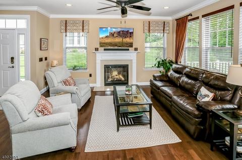 29 Wild Iris Way, Hackettstown, NJ 07840 photo 4