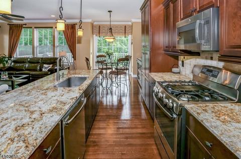 29 Wild Iris Way, Hackettstown, NJ 07840 photo 8
