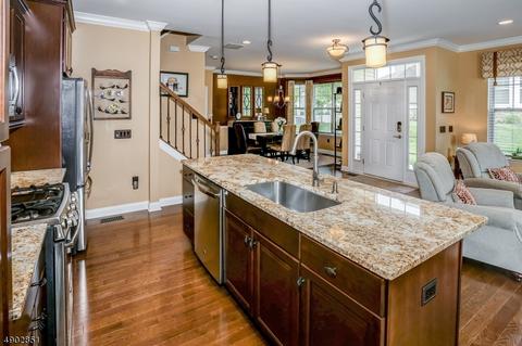 29 Wild Iris Way, Hackettstown, NJ 07840 photo 10