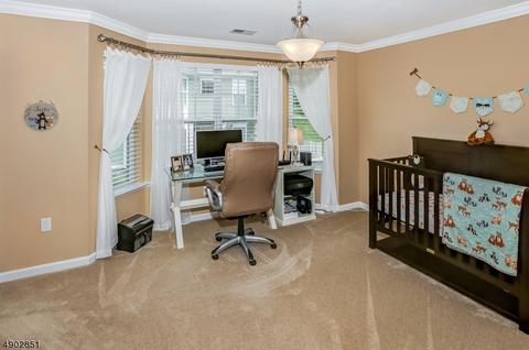 29 Wild Iris Way, Hackettstown, NJ 07840 photo 16