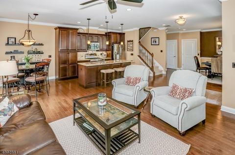 29 Wild Iris Way, Hackettstown, NJ 07840 photo 5