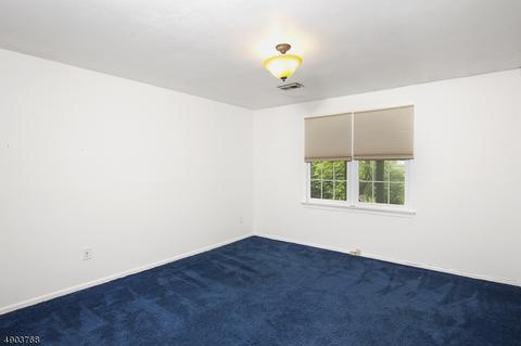 19 Killdeer Dr, Hackettstown, NJ 07840 photo 13