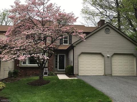 19 Killdeer Dr, Hackettstown, NJ 07840 photo 1
