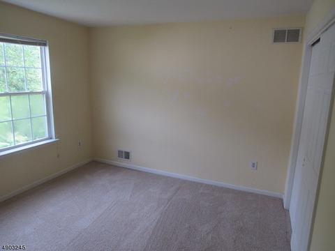 157 Cameron Ct, Hackettstown, NJ 07840 photo 16