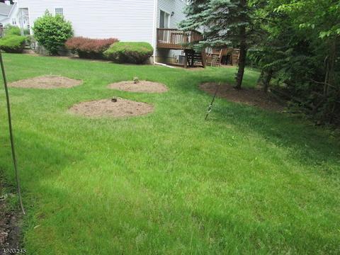 157 Cameron Ct, Hackettstown, NJ 07840 photo 23