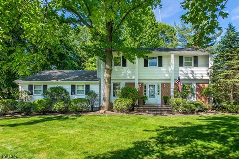 9 Beechtree Rd, Roseland, NJ 07068 photo 1