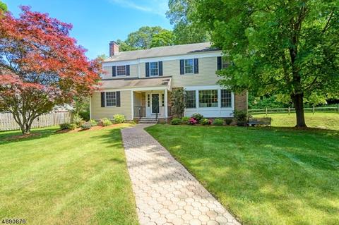 15 Bullion Rd, Basking Ridge, NJ 07920 photo 2