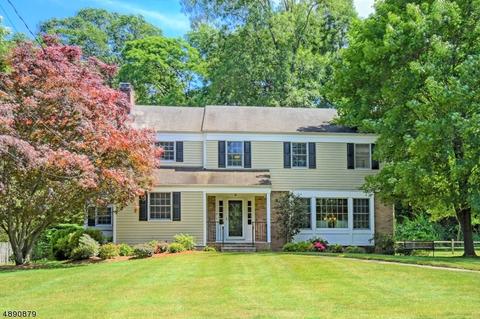15 Bullion Rd, Basking Ridge, NJ 07920 photo 1