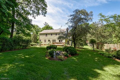 15 Bullion Rd, Basking Ridge, NJ 07920 photo 22