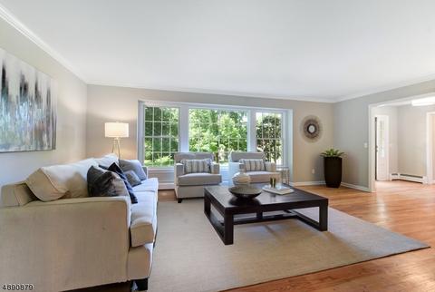 15 Bullion Rd, Basking Ridge, NJ 07920 photo 5