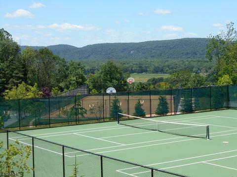 31 Rushmore Ln, Hackettstown, NJ 07840 photo 20