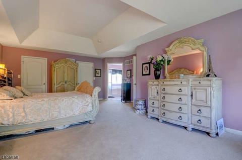 5 Normandy Ct, Montgomery, NJ 08558 photo 17