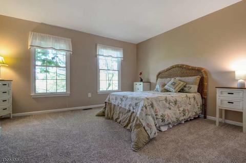 5 Normandy Ct, Montgomery, NJ 08558 photo 19