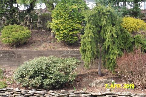 2 Mayfair Dr, Wayne, NJ 07470 photo 4