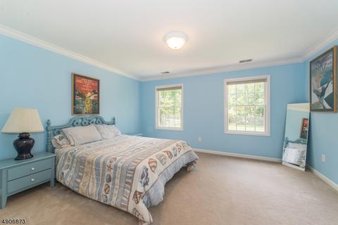 4 Kennaday Rd, Mendham, NJ 07945 photo 16
