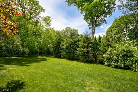99 Druid Hill Rd, Summit, NJ 07901 photo 25
