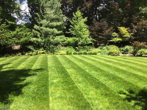 524 Stelle Ave, Plainfield, NJ 07060 photo 22