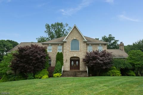 141 Chopin Dr, Wayne, NJ 07470 photo 1
