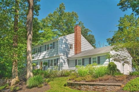830 Long Hill Rd, Gillette, NJ 07933 photo 2