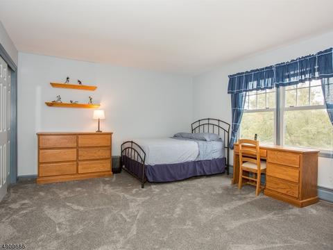 46 Chandler Dr, Wayne, NJ 07470 photo 22