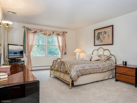 46 Chandler Dr, Wayne, NJ 07470 photo 18