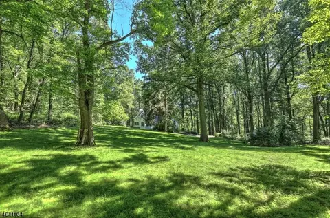11 Leddell Rd, Mendham, NJ 07945 photo 3
