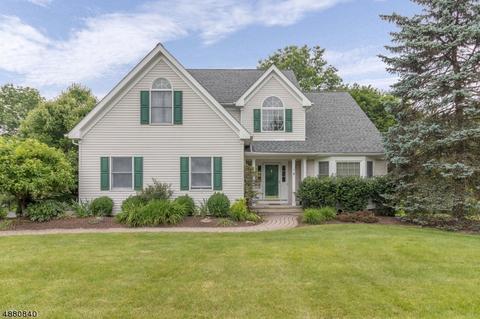 4 Wildflower Ct, Clinton, NJ 08809 photo 1