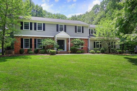 20 Forest Dr, Mendham, NJ 07945 photo 1