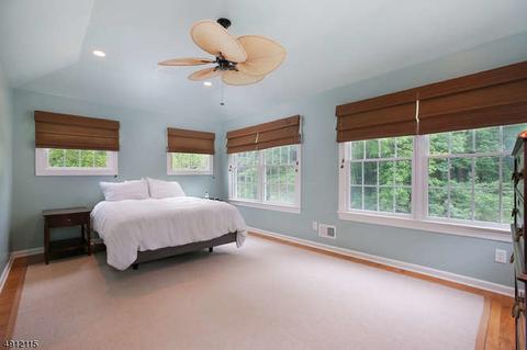 20 Forest Dr, Mendham, NJ 07945 photo 13