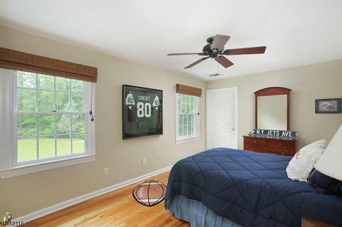 20 Forest Dr, Mendham, NJ 07945 photo 17