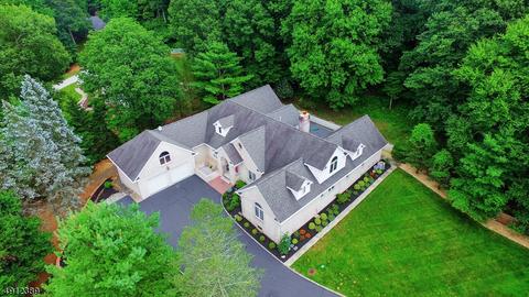 10 Deer Path, Warren, NJ 07059 photo 2