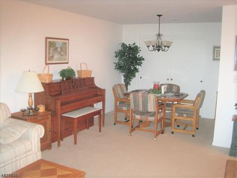 29 Pine Ct, Bedminster, NJ 07921 photo 6