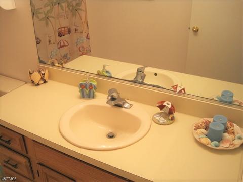 29 Pine Ct, Bedminster, NJ 07921 photo 9