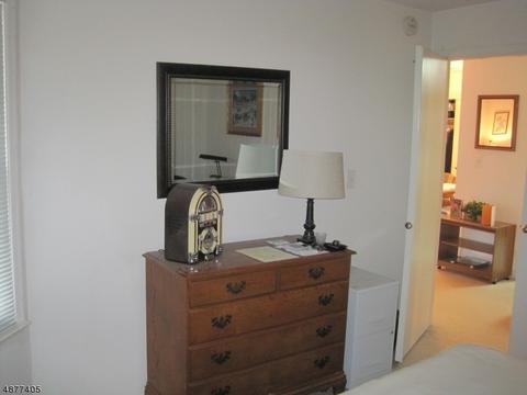 29 Pine Ct, Bedminster, NJ 07921 photo 13