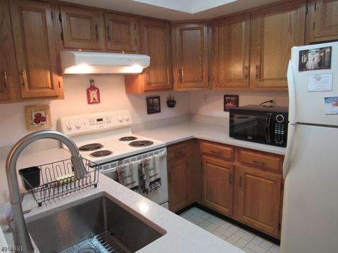 29 Pine Ct, Bedminster, NJ 07921 photo 1