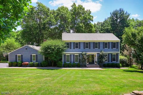 36 Mountainside Rd, Mendham, NJ 07945 photo 1