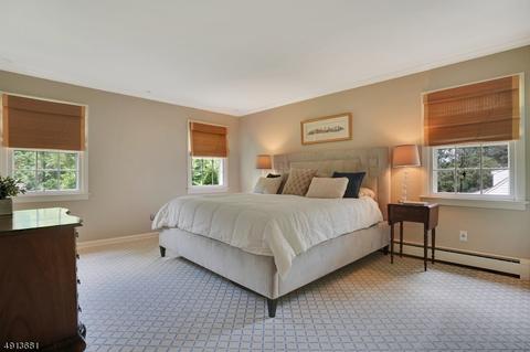 91 Pine Grove Ave, Summit, NJ 07901 photo 16